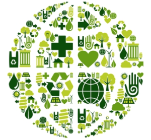 Sustainable Supply Chain & LEED v4